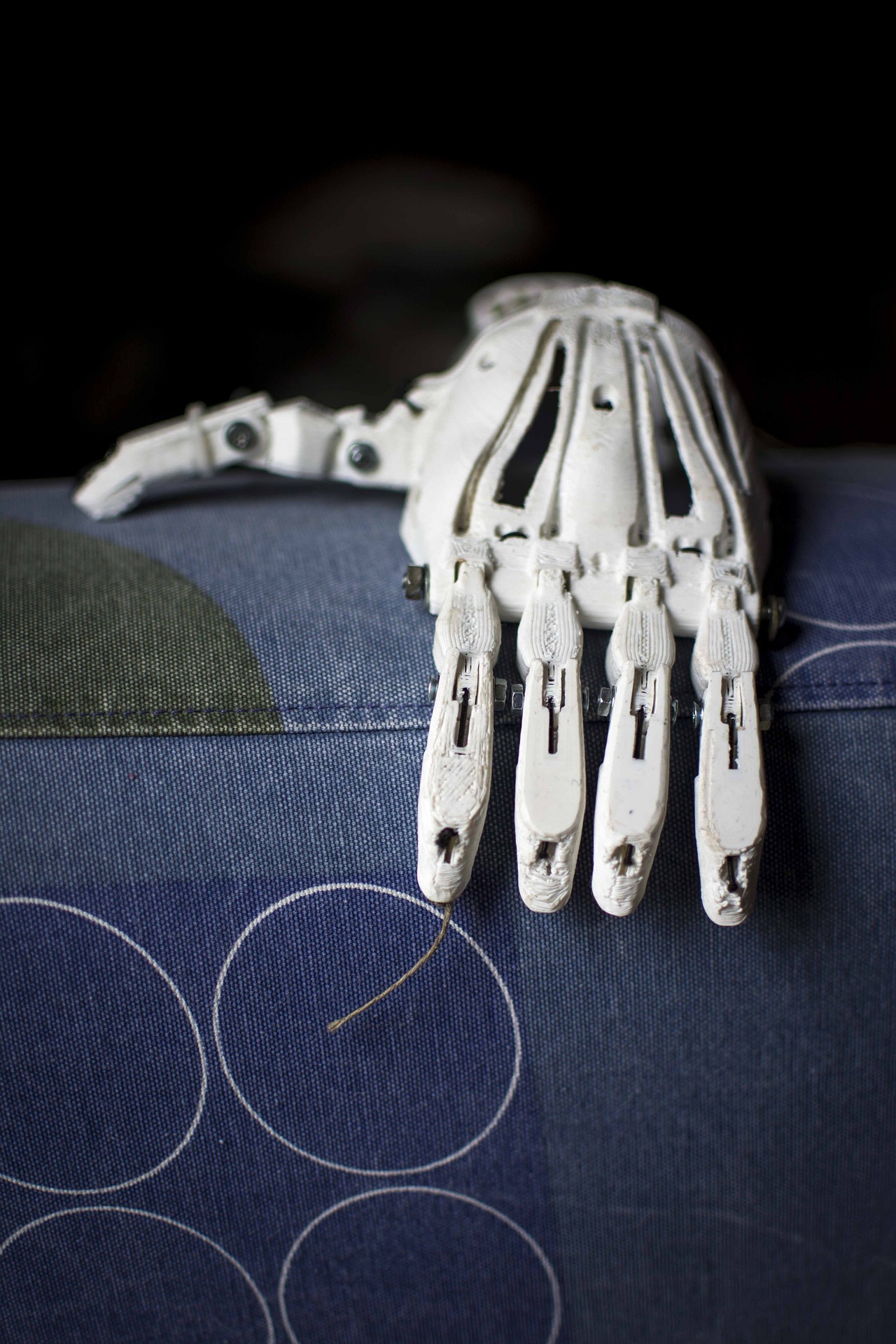 prostetic-1273178_1920